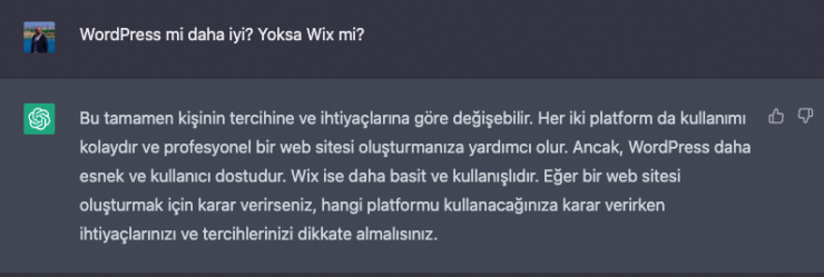WordPress mi Wix Mi? ChatGPT