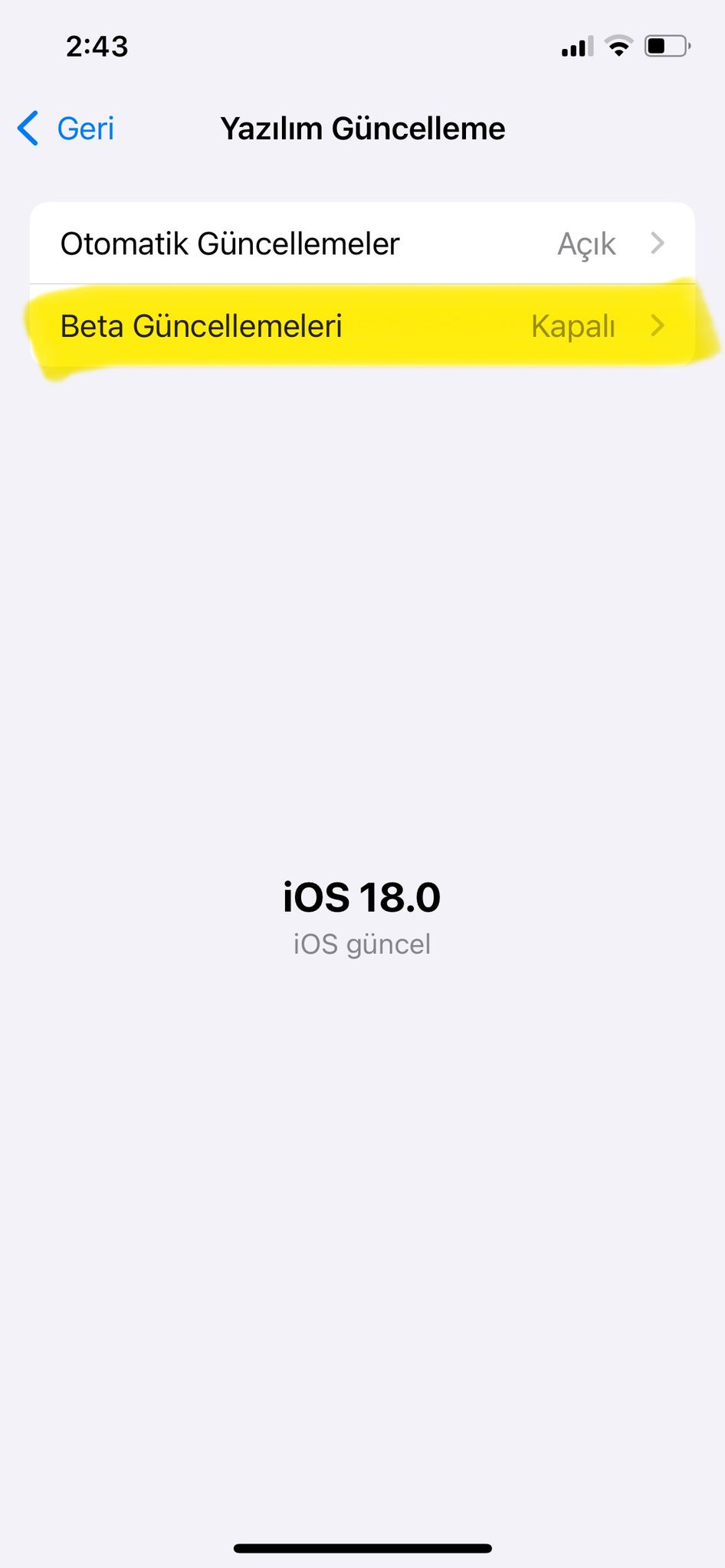 Yapay Zeka Özellikli, iOS 18.1 Beta nasıl indirilir?