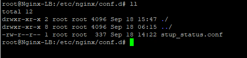 Nginx sunucu trafiğini takip edebilmek için Zabbix nasıl kullanılır?