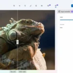 Windows 11 fotoğraflar uygulamasına yapay zeka desteği eklendi