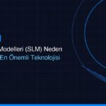msbil kucuk dil modelleri slm neden gelecegin en on